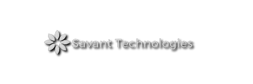 Technology services provider United Kingdom | Savanttechnologies